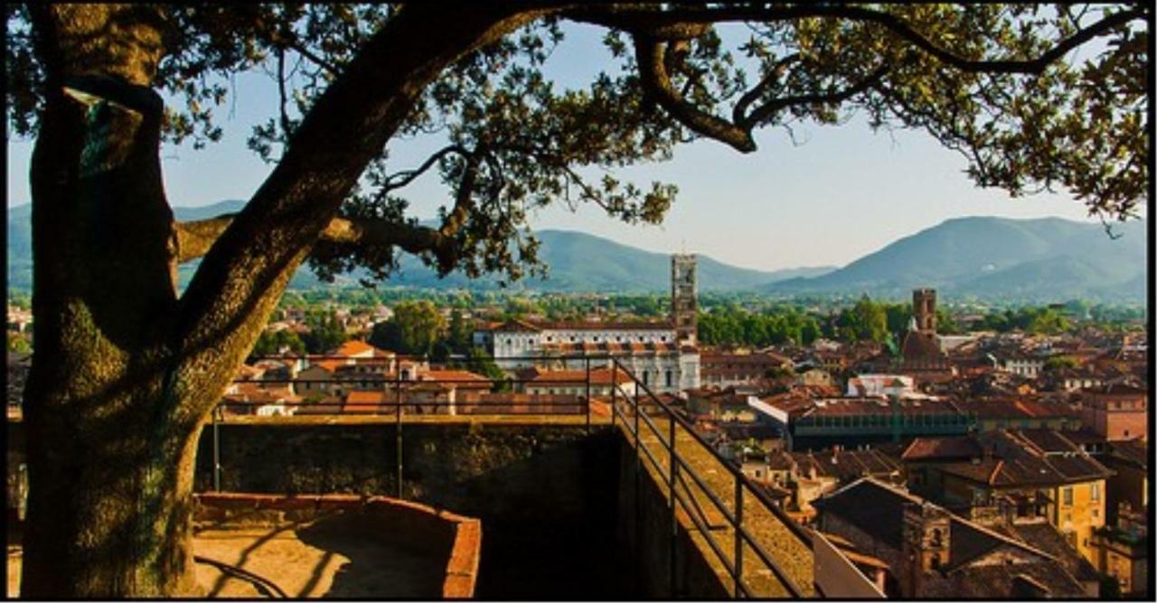 Le Melodie Di Lucca Buitenkant foto